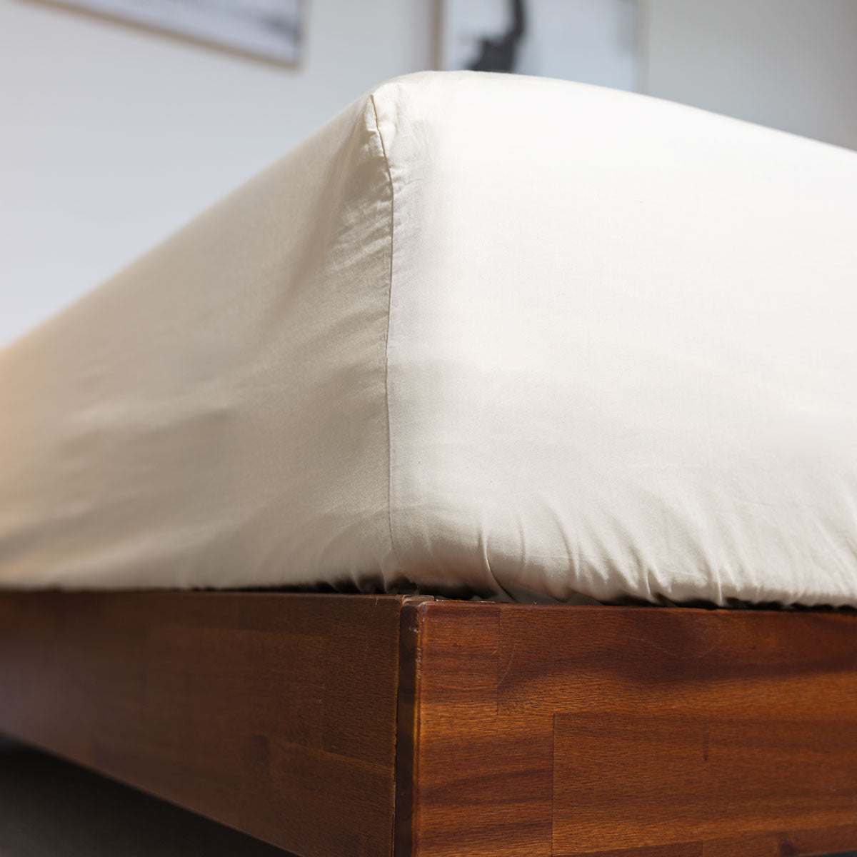 Classic 200 TC Cotton Percale Fitted Sheet