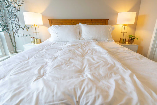 Luxe 500 TC Cotton Sateen Split Comforter